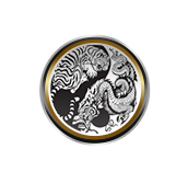 dragon tiger